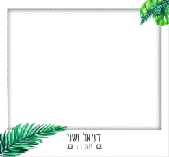 ג'ונגל