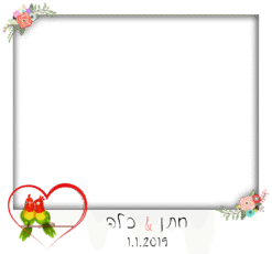 זוג יונים