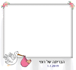 חסידה מעופפת