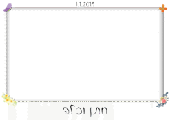 פרפרים עפות
