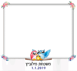 משפחת יונים