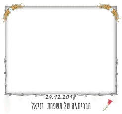 אביבי