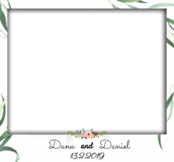 Dana Frame