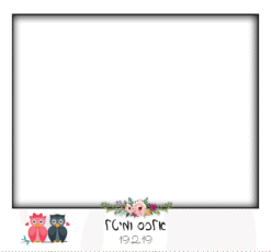 ינשוף קיוטי קאפל