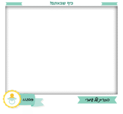 מיתוג חגיגי ברית פולארויד