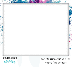 ברית פסטל