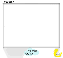 ברווז צהוב