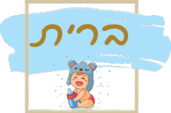 מסגרות לברית