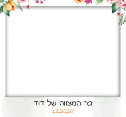 צמחיה מלמעלה