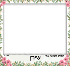 בת מצווה בקיץ