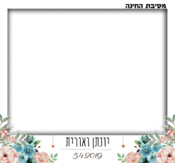 כוכבי חינה