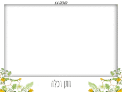 כוורת פרחים