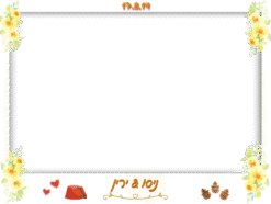 חגיגת חינה
