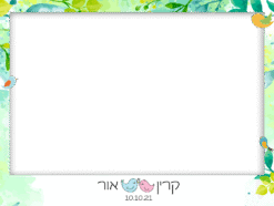 ציפורי ורוד כחול