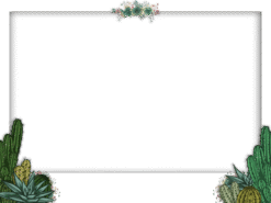 Cactus Frame
