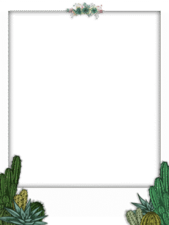 Cactus Frame