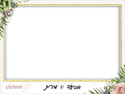 זהב ופרח NEW
