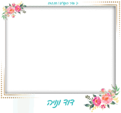 הזוכה החדש