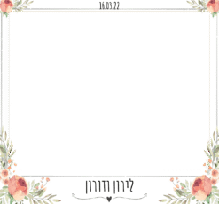 הפולארויד של לירון