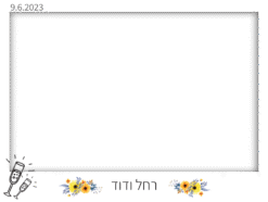סאלוט