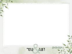 עלי זית