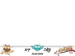 ינשופים
