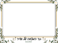 ציפורי שלום