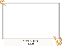 שיבולים