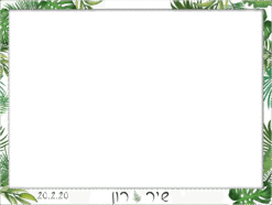 ג’ונגלים עדינים